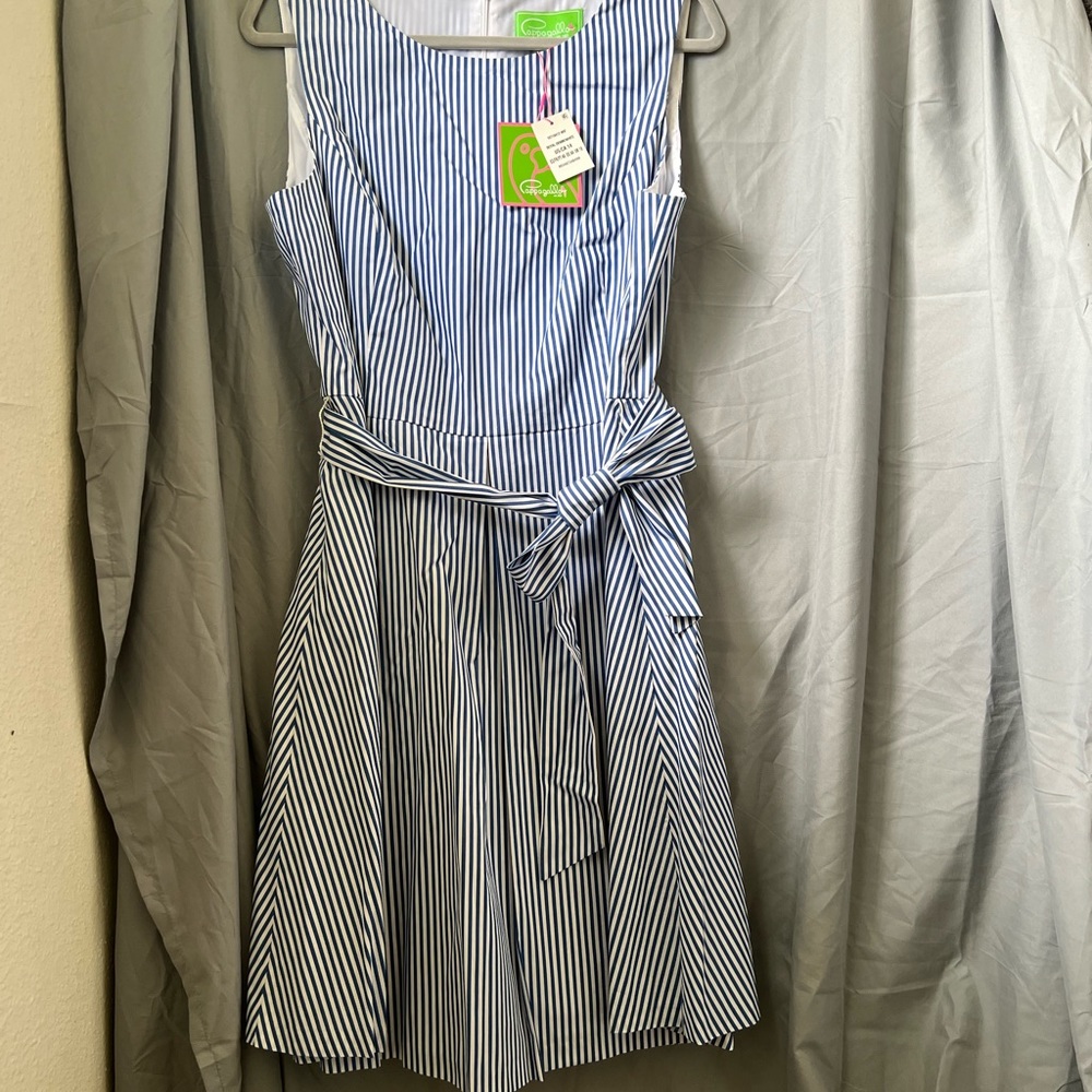 Blue and white striped belted dress